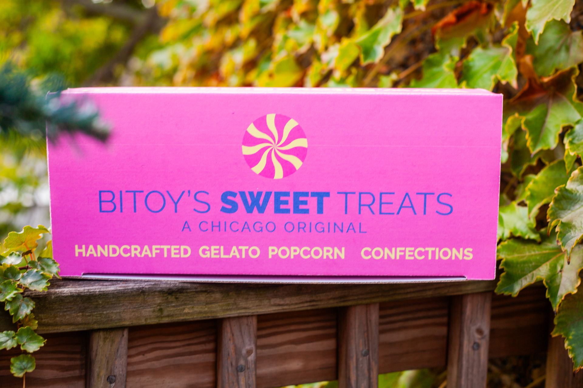A pink Bitoy's Sweet Treats box photographed outdoors among green leaves